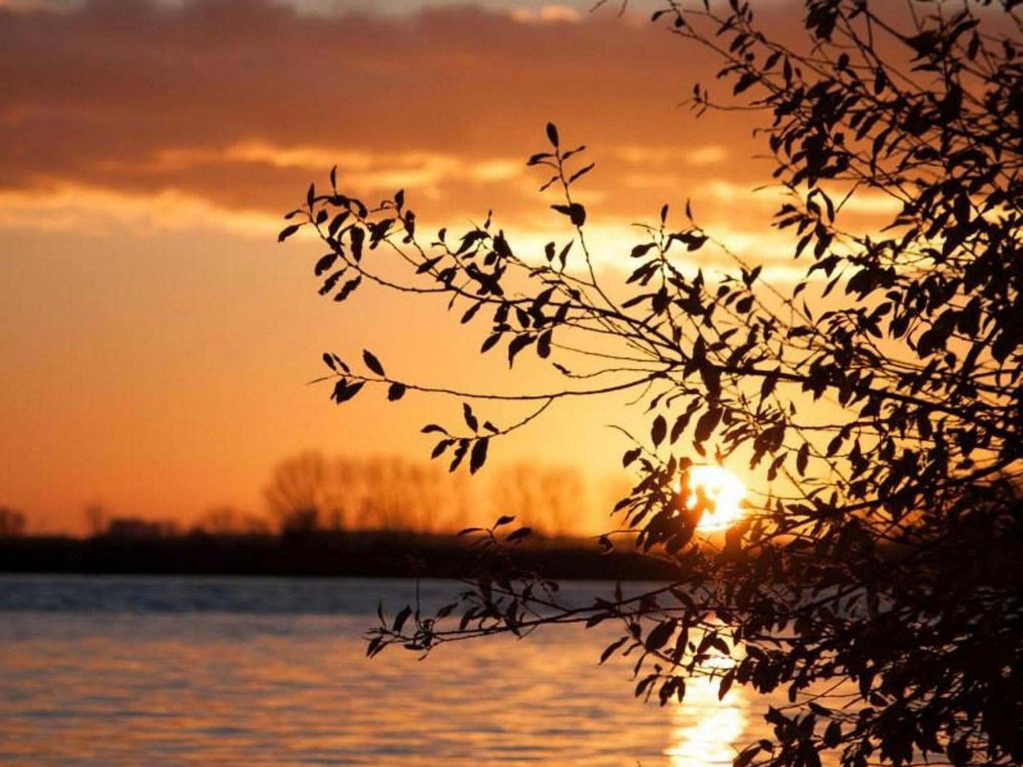 Ferienwohnungen Luisenhof Paretz ภายนอก รูปภาพ